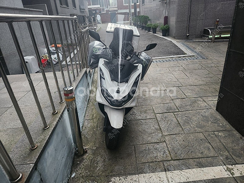 pcx125 21년식 abs 배달셋팅 구동계 올교체,소...--0