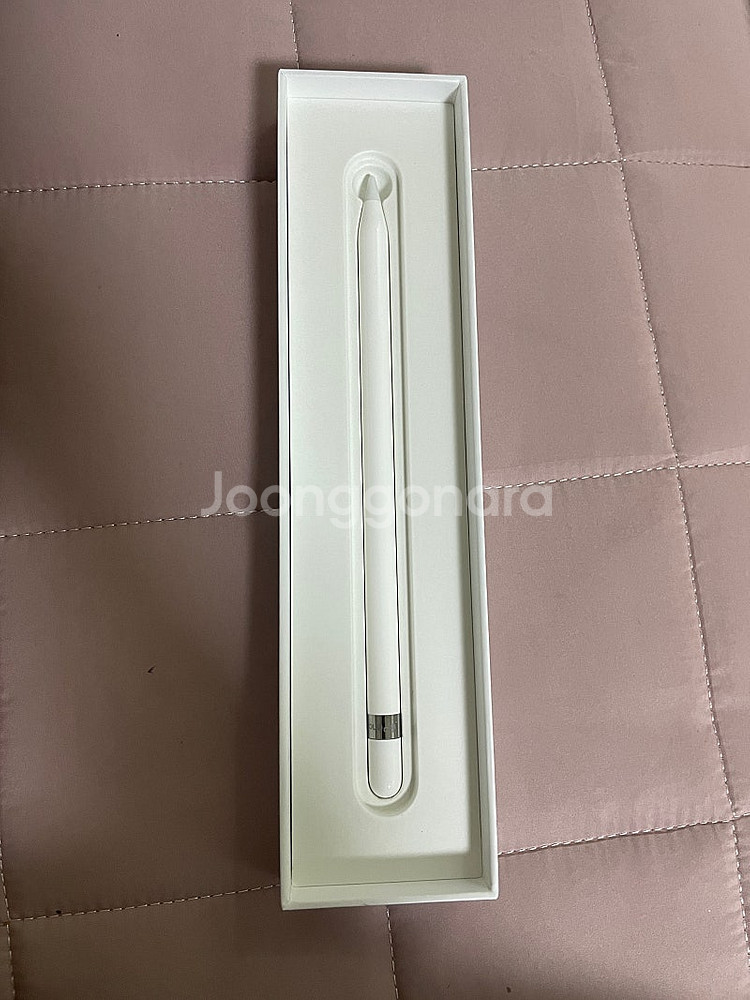애플펜슬 1세대 USB - C(어뎁터 포함)--1