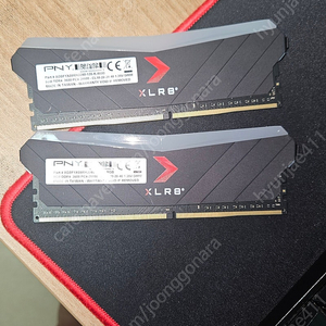 PNY DDR4 XMP 8GB 2장(튜닝램)