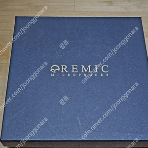 REMIC C5300 WLM 첼로 마이크