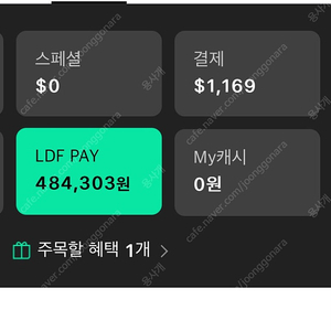 LDF Pay 팝니다