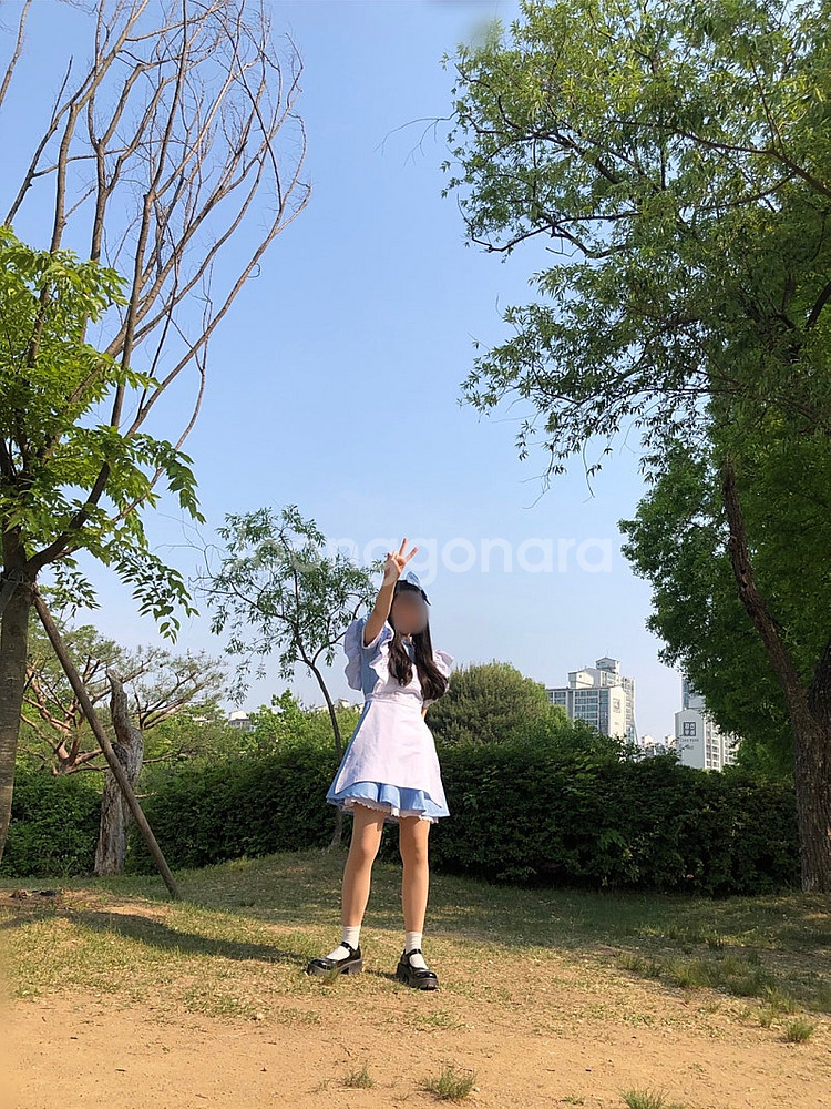 앨리스대여 졸업사진 앨리스코스프레--3