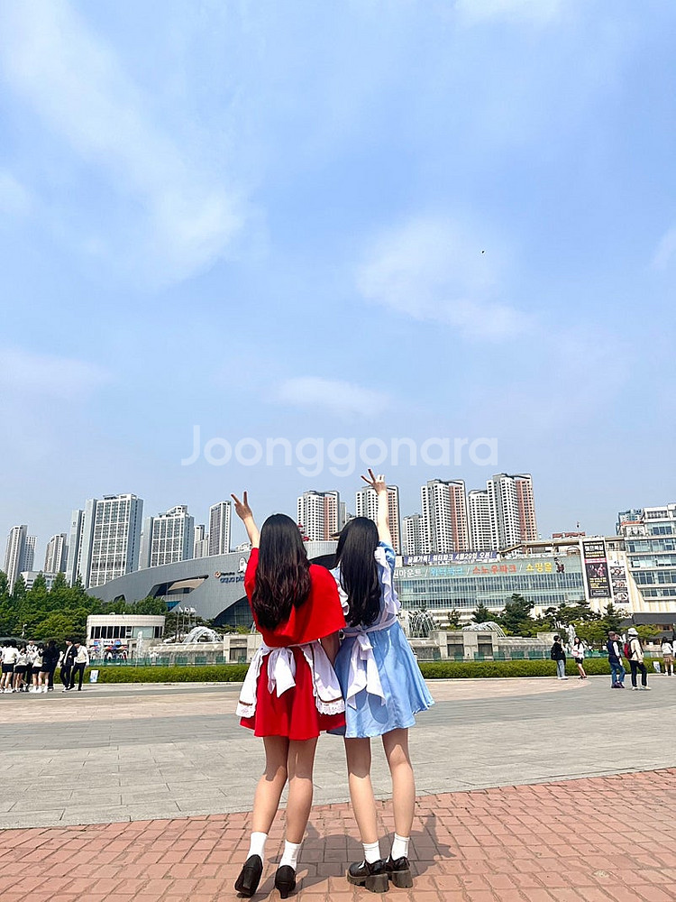 앨리스대여 졸업사진 앨리스코스프레--4