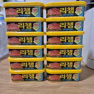 리챔 더블라이트 120g 12개