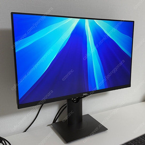 DELL 24인치 QHD P2421D 모니터