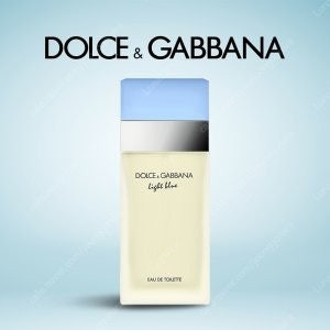 돌체앤가바나 라이트블루 100ml 미개봉