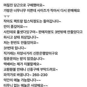 샤낼 베니티 미니백 판매해요