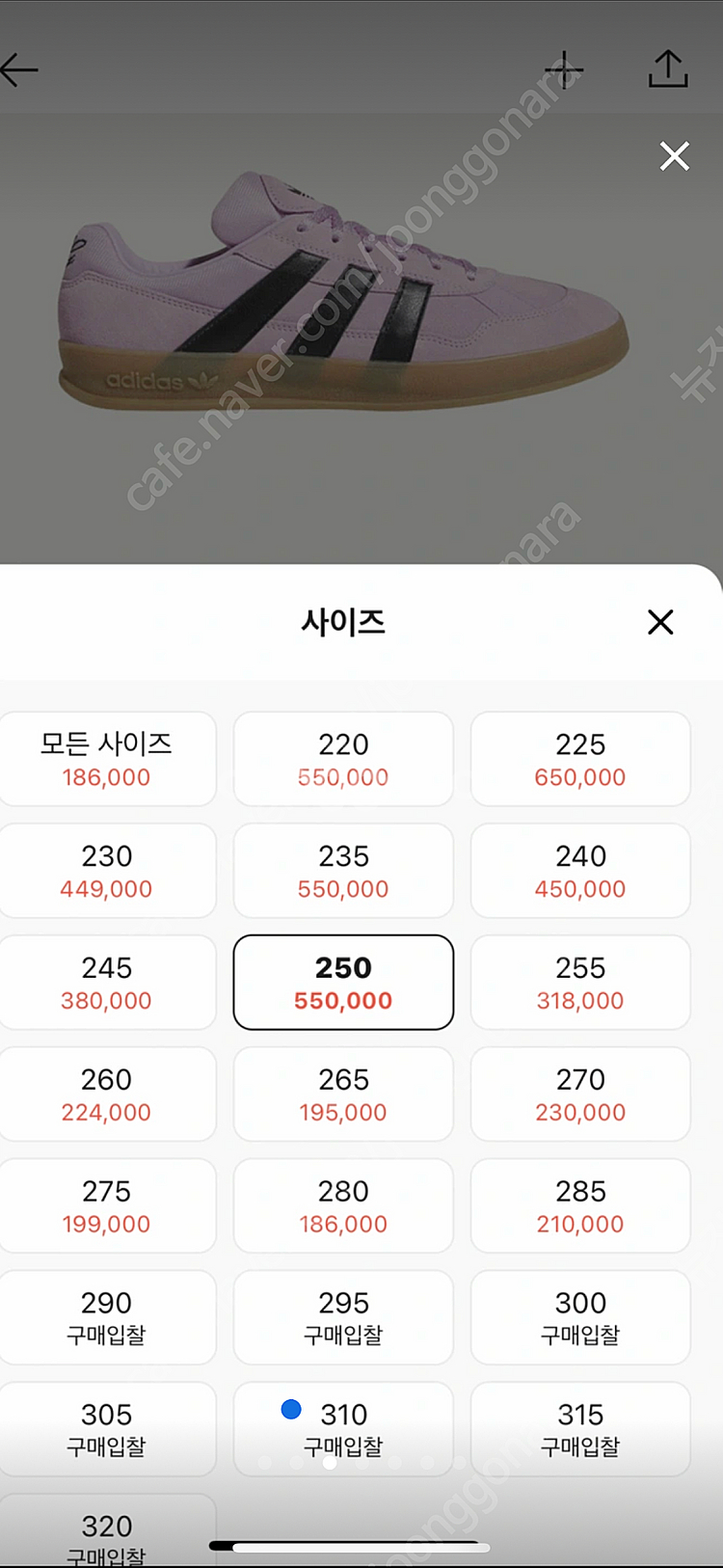 아이다스 알로하 마크곤잘레스 255 새것--1