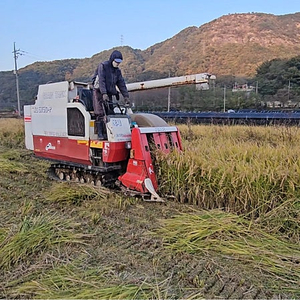 볏짚 지푸라기 짚불 짚불바베큐 온라인 최저가 !! 볏짚놀이 2kg