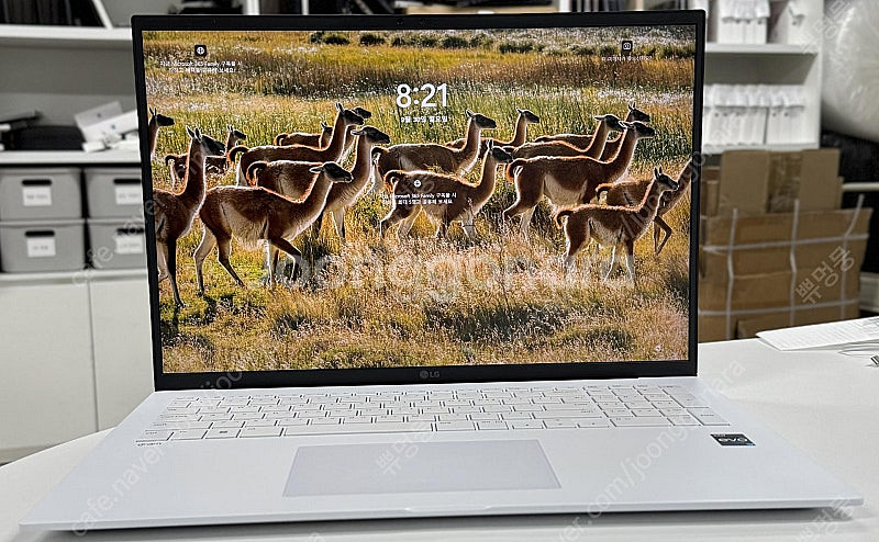 [LG 2023 그램17] 17Z90R-GA7HK i7...--0