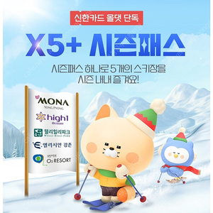 X5 미등록 시즌권 팝니다.