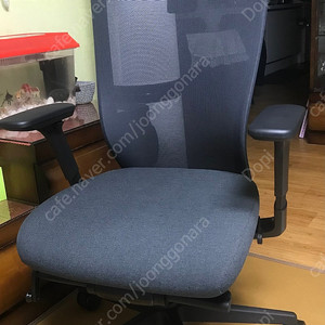 시디즈T50 hda 저렴하게 팝니다