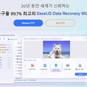 이지어스 Easeus 데이터 복구 프로그램 라이센스 판매 (윈도우용/ 10/31~12/1)