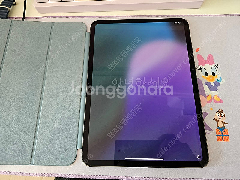 아이패드 프로 11 M4 셀룰러 512G + 애플케어 ...--0