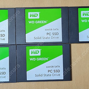 WD GREEN SSD 120G 5개 일괄