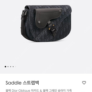 디올 오블리크 새들 메신저백