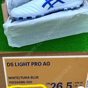 [270] 아식스 ds light pro ag 24년형 3세대