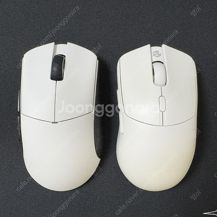 Lamzu Paro + 8K 동글 람주 파로 마우스 판...--2