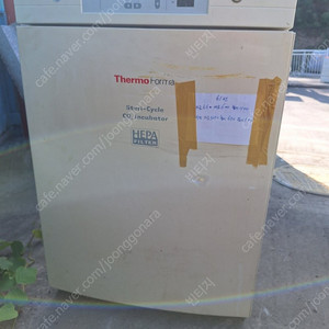 Thermo Scientific 371 CO2 Incubator co2 인큐베이터