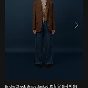 더바넷Bricks Check Single Jacket