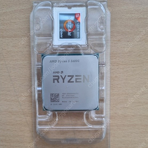 AMD 라이젠 5 5600G