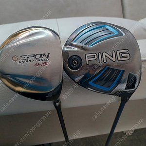 1)핑뉴G 10.5; 2)Epon AF-101 1.