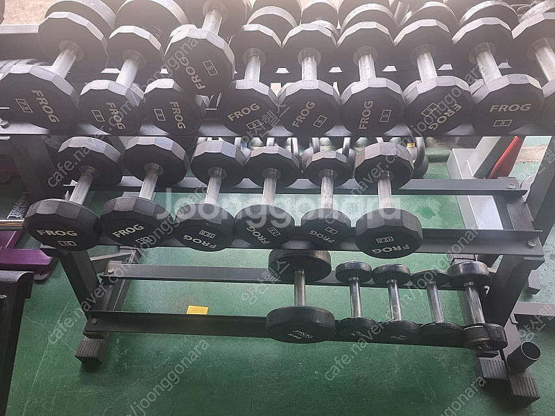 고무아령 / 조립아령 / 6각아령 / 12각아령 / 중...--0