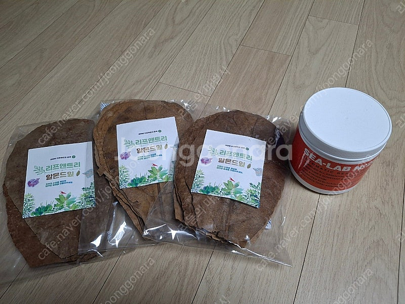 알몬드 잎+ 씨랩 28 칼슘 터틀 블록 거북이 미네랄 ...--0