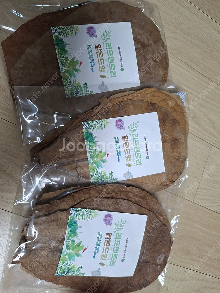 알몬드 잎+ 씨랩 28 칼슘 터틀 블록 거북이 미네랄 ...--3