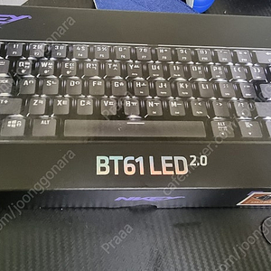 스카이디지탈 NKEY BT61 LED 2.0 갈축 판매합니다