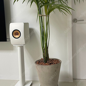 Kef ls50w2 화이트 + 전용스탠드 판매