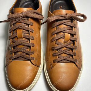 ALLEN EDMONDS 알렌 에드몬즈 브라운 가죽 스니커즈 260