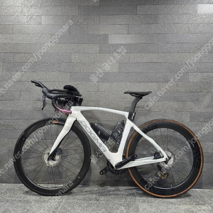 2021년식 피나렐로 도그마 F12(Pinarello Dogma F12) 팝니다.