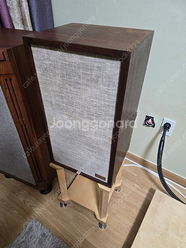 AR2ax 토끼눈.양면미송--2
