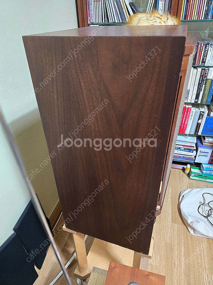 AR2ax 토끼눈.양면미송--7