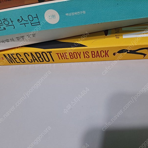 Meg Cabot the boy is back[새책)