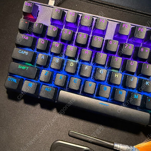 스틸시리즈 apex pro tkl 유선