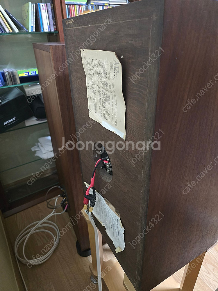 AR2ax 토끼눈.양면미송--5