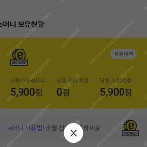 이마트 이머니 (5900점)