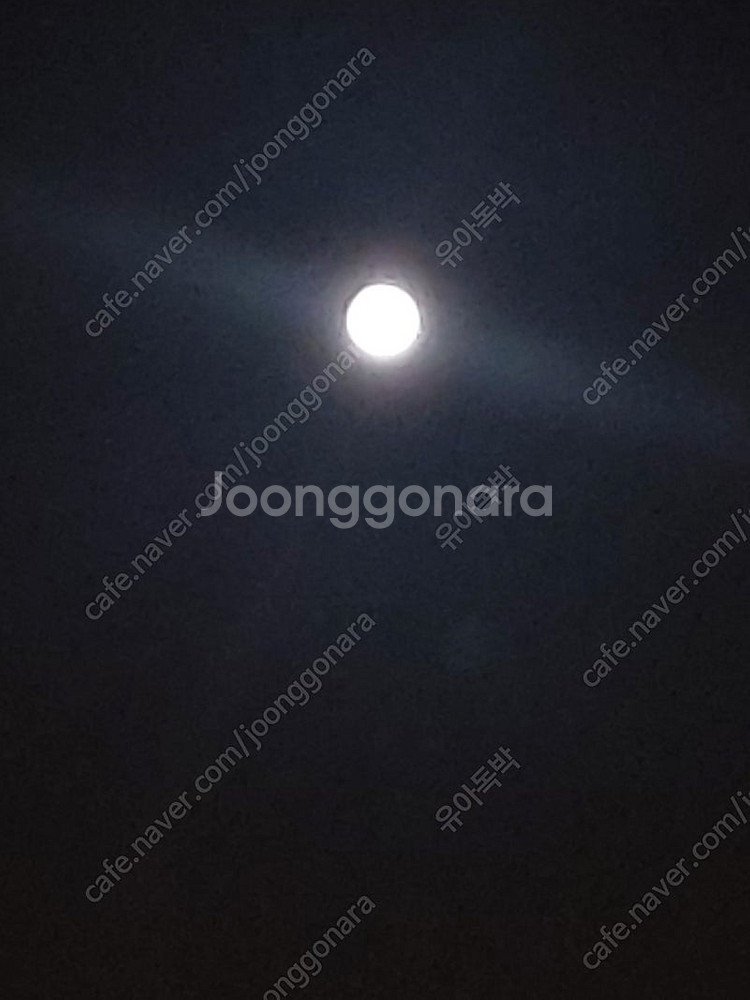 배스킨 라빈스 아이스크림 롤(초콜릿) 1장 1200원에...--0