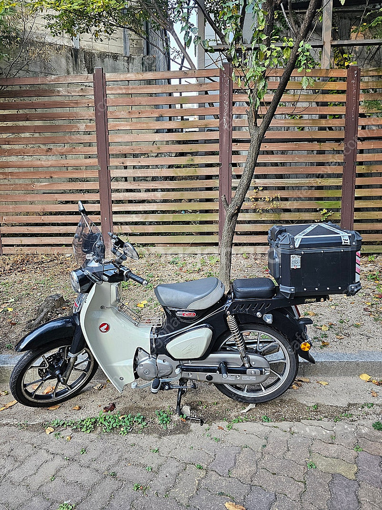 20년식 혼다 C125 슈퍼커브 짧은 주행 팝니다--6