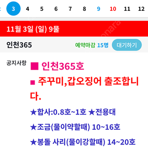 11/3 영종도 갑오징어 선상 양도합니다