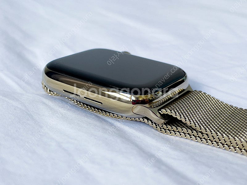 애플워치 6 44mm 스테인리스 골드 셀룰러 (Appl...--3