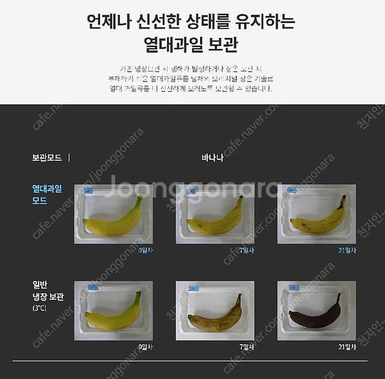 딤채 김치냉장고 221리터 (새제품)--8