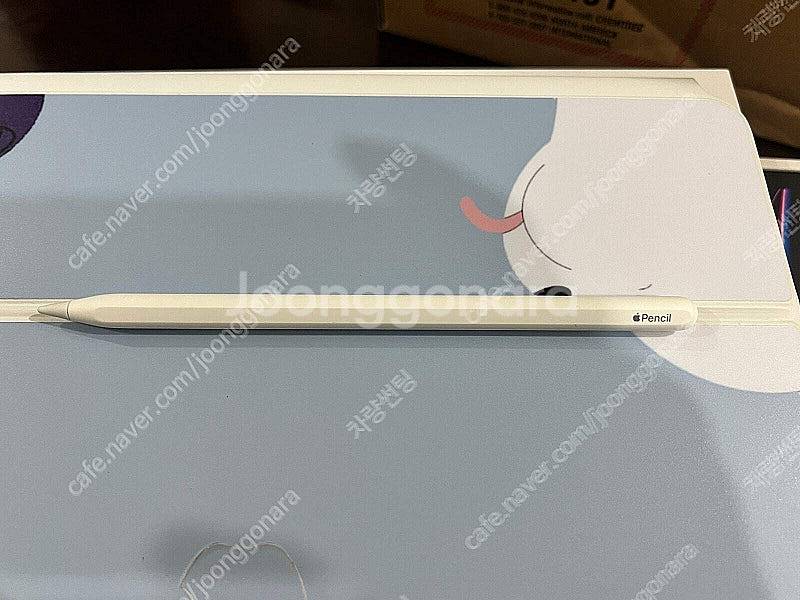 급처 아이패드 Pro6세대 M2 실버 셀룰러 256GB...--1