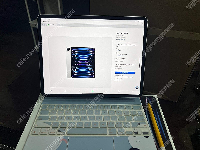 급처 아이패드 Pro6세대 M2 실버 셀룰러 256GB...--0