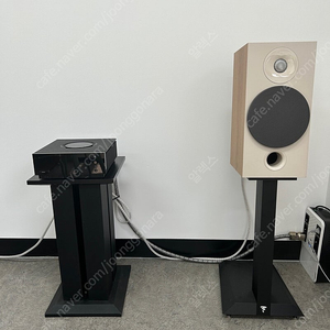 NAIM ATOM (네임 아톰)+ 포칼 코라 806 세트