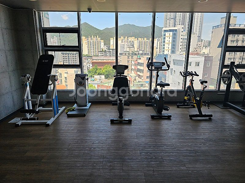 디랙스 중고 헬스기구팝니다. 런닝머신 좌식자전거 입식자...--0