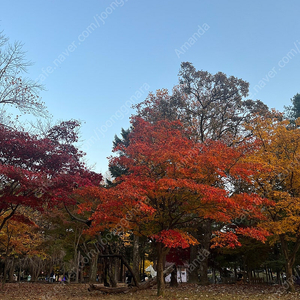 (구해요)