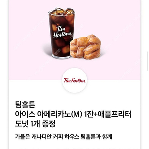 팀홀튼 아이스 아메리카노 + 애플프리터 도넛1개 총 1000원(오늘까지!!)